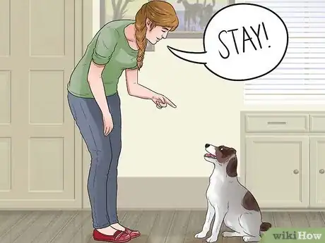 Image titled Teach Your Dog Tricks Step 6