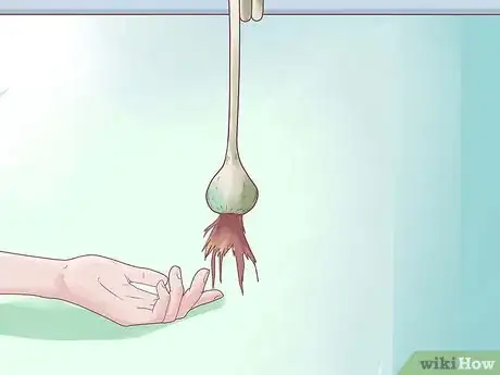 Image titled Plant Garlic Step 11