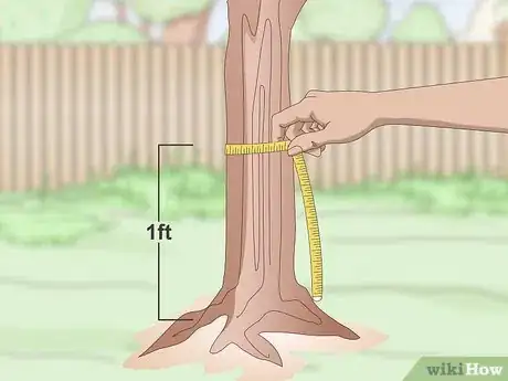 Image titled Fertilize Trees Step 11