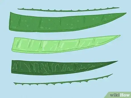 Image titled Use Fresh Aloe Vera Step 1