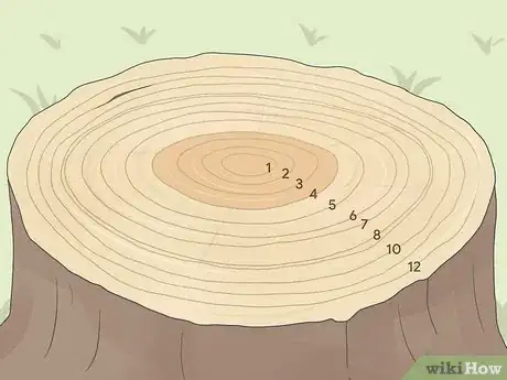 Image titled Count Tree Rings Step 3