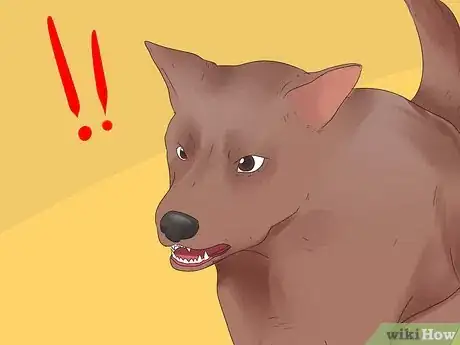 Image titled Make a Dog Stop Biting Step 2