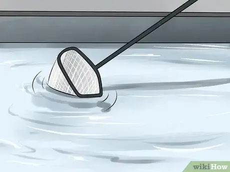 Image titled Maintain Your Swimming Pool Step 14