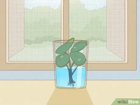 Image titled Propagate Pilea Step 14