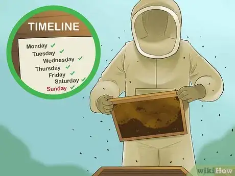 Image titled Get Started Beekeeping Step 20