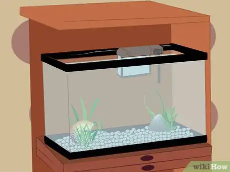 Image titled Set Up a 10 Gallon Aquarium Step 6