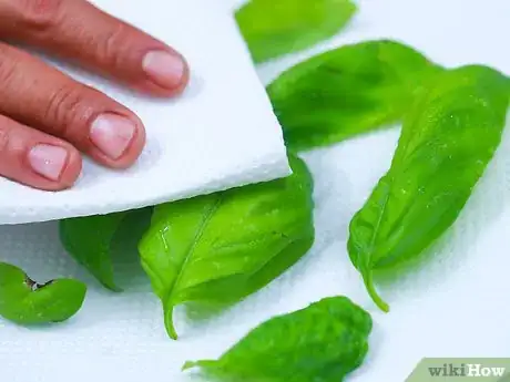 Image titled Dry Basil Step 10