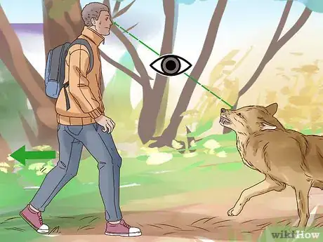 Image titled Survive a Wolf Attack Step 2