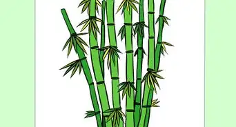 Draw Bamboo