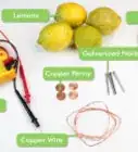 Create a Battery from a Lemon