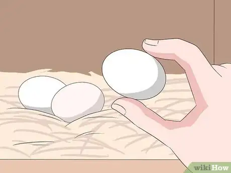 Image titled Clean Eggs Step 8