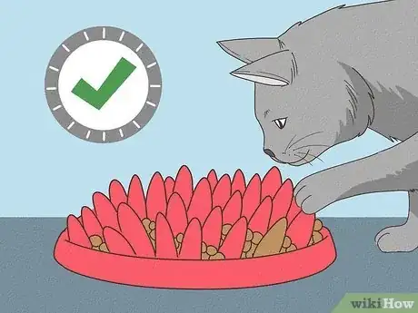 Image titled Determine if Your Cat is Overweight Step 5