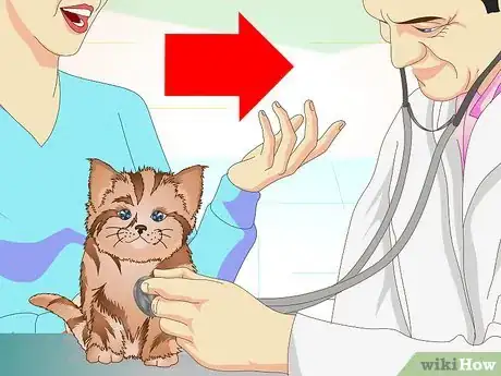 Image titled Get a Sick Kitten to Eat Step 18