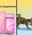 Give Cats Nutritional Supplements