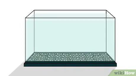 Image titled Grow Copepods Step 1