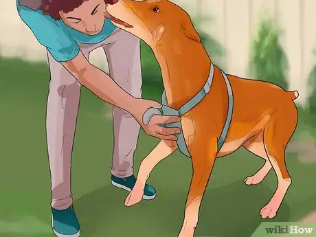 Image titled Stop a Dog from Killing Squirrels Step 1