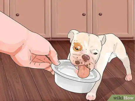 Image titled Feed Puppies Step 11