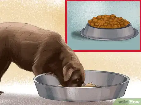 Image titled Choose Food for your Border Collie Step 2