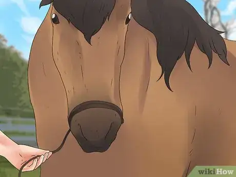 Image titled Be Safe Around Horses Step 16