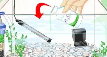 Fix Cloudy Aquarium Water