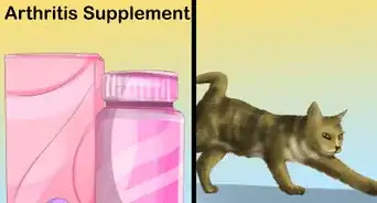 Give Cats Nutritional Supplements