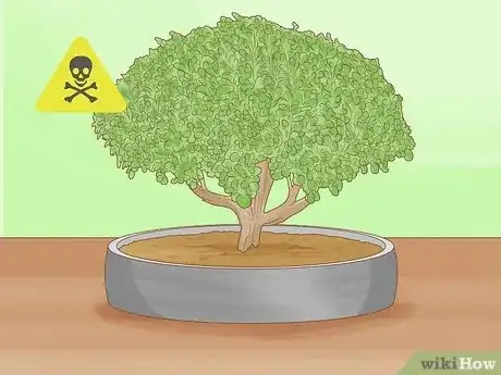 Image titled Are Bonsai Trees Poisonous to Cats Step 5