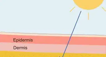 Best Absorb Vitamin D Supplements