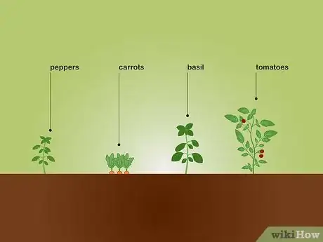 Image titled Choose Plants for a Garden Step 15