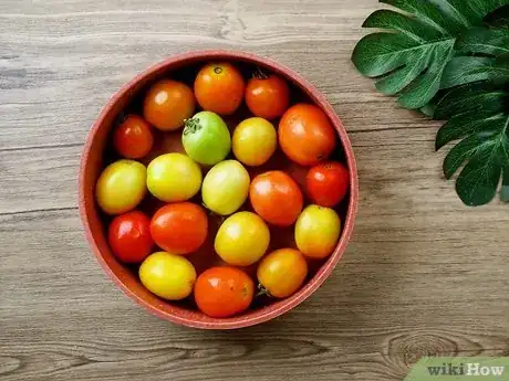 Image titled Store Tomatoes (Long Term) Step 2