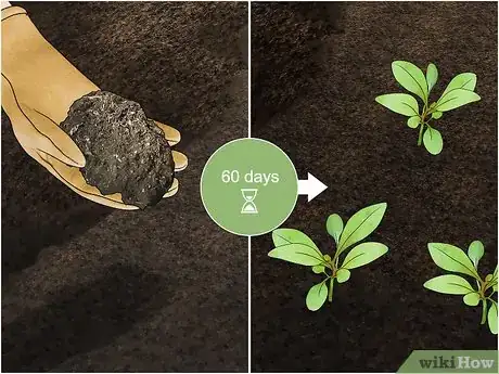 Image titled Increase Nitrogen in Soil Step 17