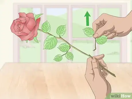 Image titled Arrange Long Stem Roses Step 3