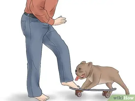 Image titled Teach a Bulldog to Skateboard Step 5