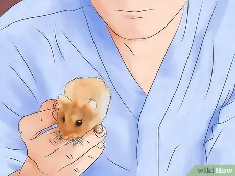 Image titled Get Rid of Mites in Your Hamster's Cage Step 1