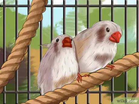 Image titled Raise Zebra Finches Step 11