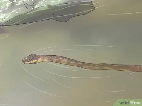 Image titled Avoid Snakes Step 28