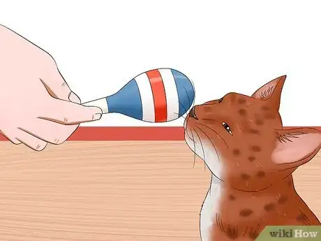 Image titled Stop a Male Cat from Spraying Step 8