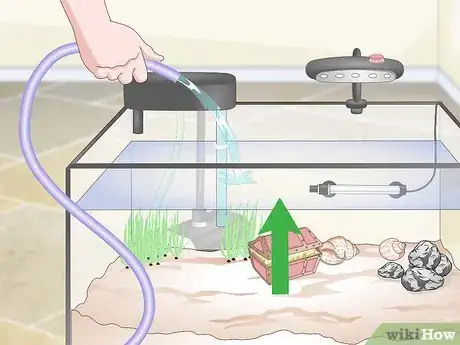 Image titled Set up a Guppy Tank Step 8