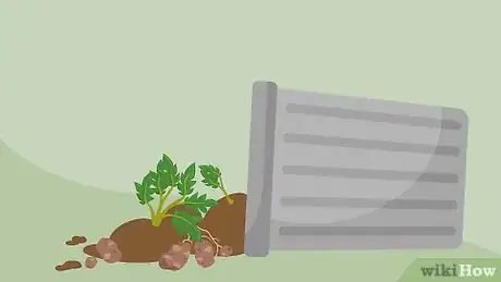 Image titled Grow Potatoes in a Trash Can Step 11