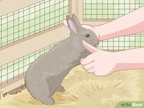 Image titled Care for a New Pet Rabbit Step 7