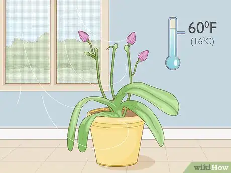 Image titled Get Orchids to Rebloom Step 11