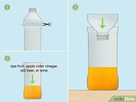 Image titled Get Rid of Fruit Flies Step 3