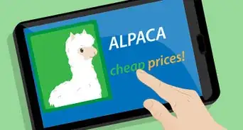 Buy Alpacas