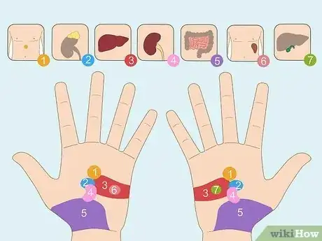 Image titled Read a Hand Reflexology Chart Step 5