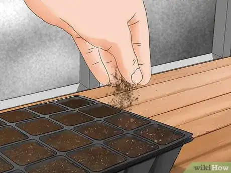 Image titled Grow Rosemary from Seed Step 10