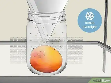 Image titled Get Rid of Fruit Flies Step 2Bullet2