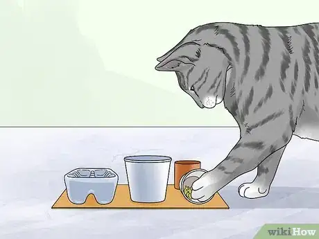 Image titled Make a Homemade Puzzle Feeder for a Cat Step 6