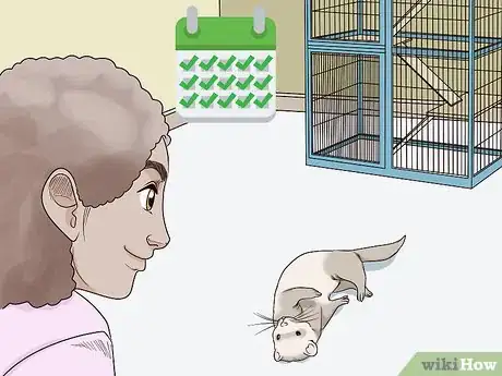 Image titled Keep a Single Ferret Happy Step 10