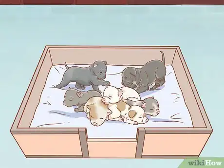 Image titled Care for a Dog Before, During, and After Pregnancy Step 16