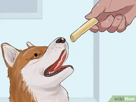 Image titled Get a Dog to Behave in Restaurants Step 8