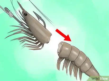 Image titled Hook a Shrimp Step 1Bullet3